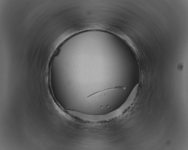 X0000091091143200708271250