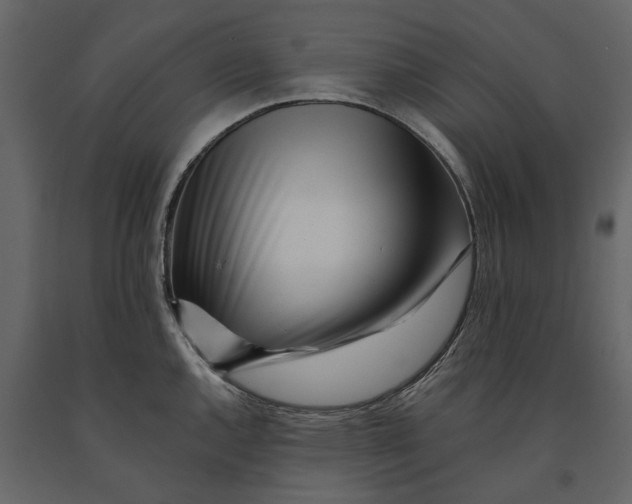 X0000091091144200708271250