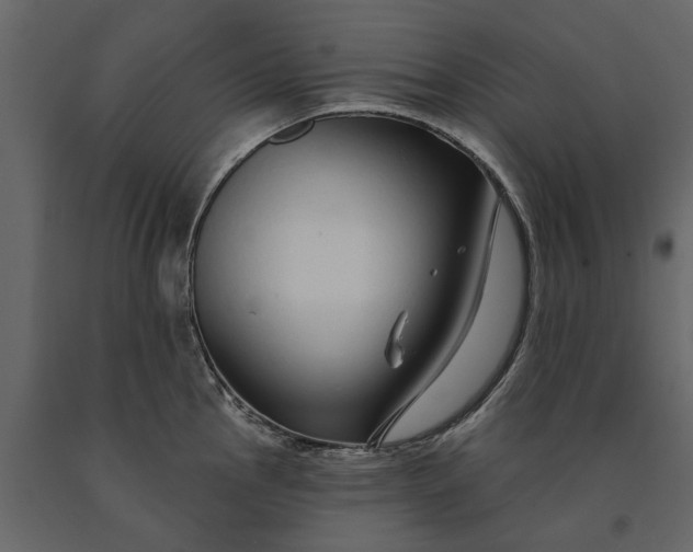 X0000091091145200708271250