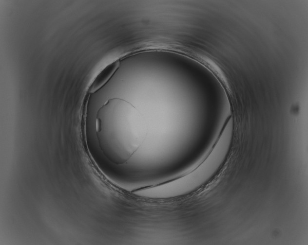 X0000091091146200708271250