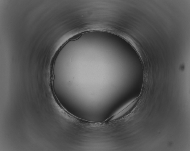 X0000091091147200708271250