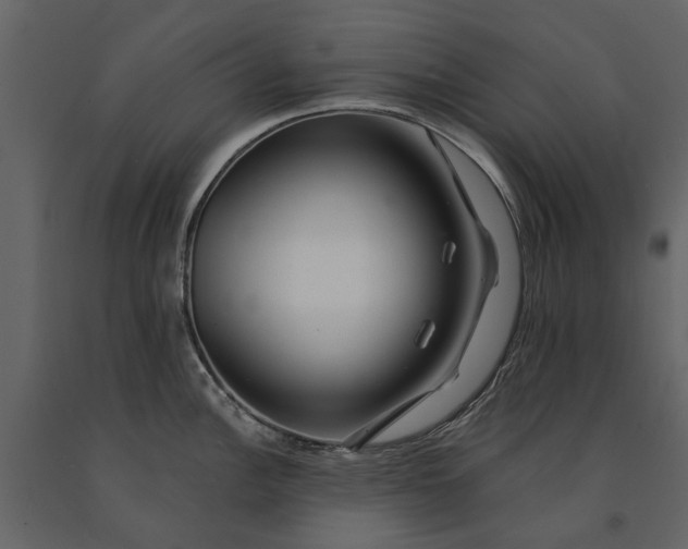 X0000091091148200708271250