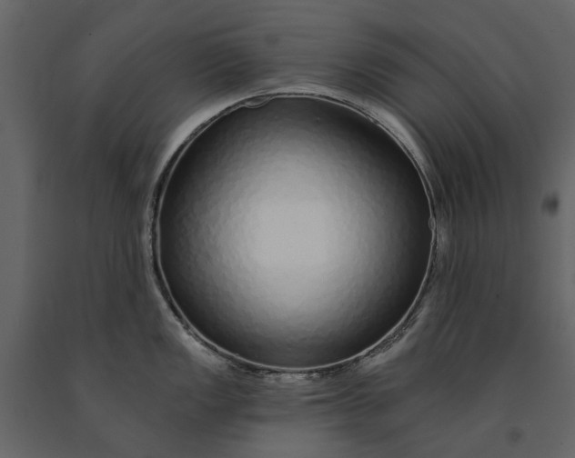 X0000091091149200708271250