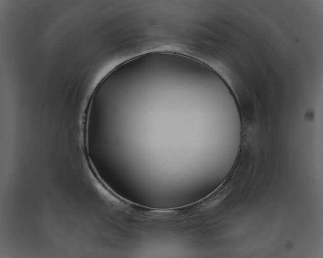 X0000091091151200708271251