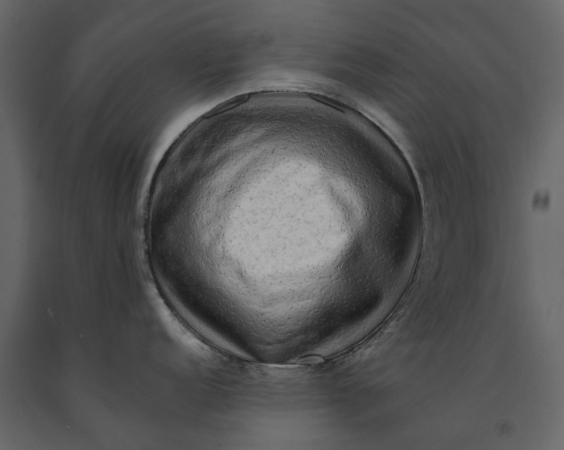 X0000091091152200708271251