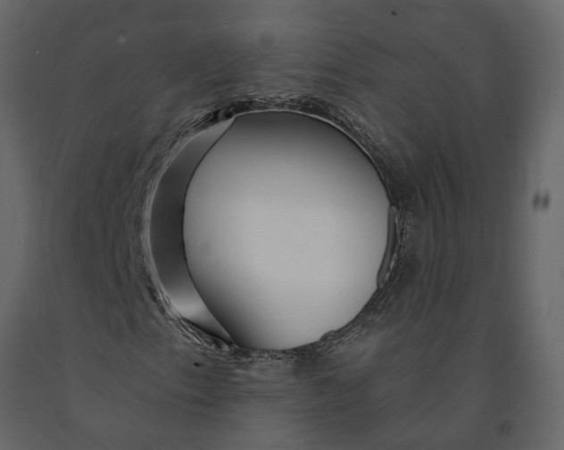 X0000091091153200708271250