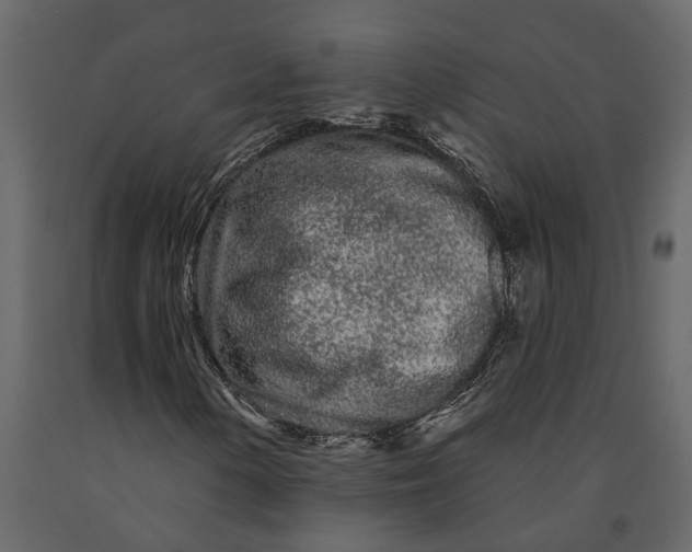 X0000091091154200708271250