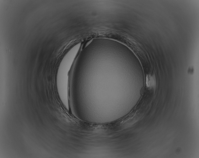 X0000091091155200708271250