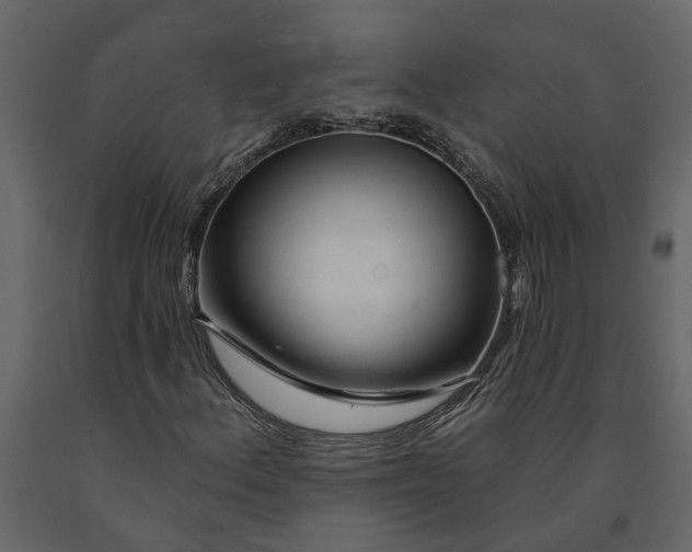 X0000091091156200708271250