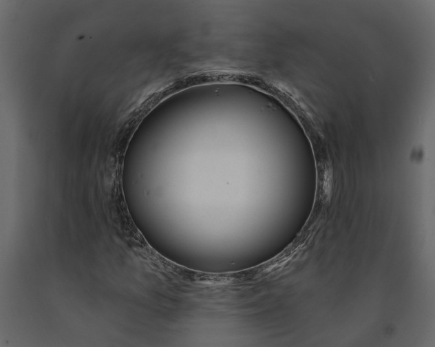 X0000091091157200708271250