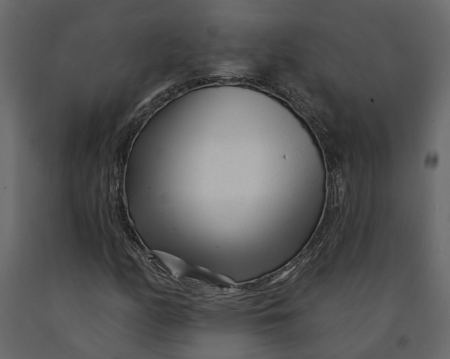 X0000091091158200708271250