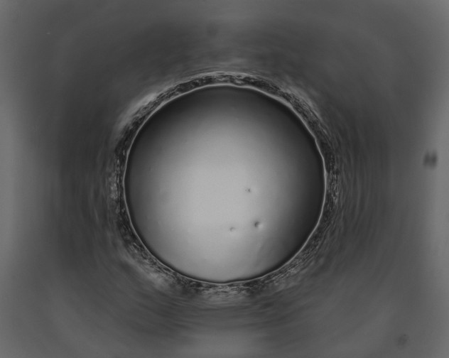 X0000091091159200708271250