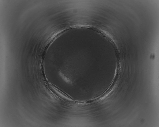 X0000091091161200708271250