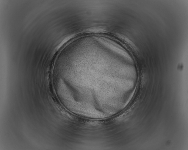 X0000091091162200708271250