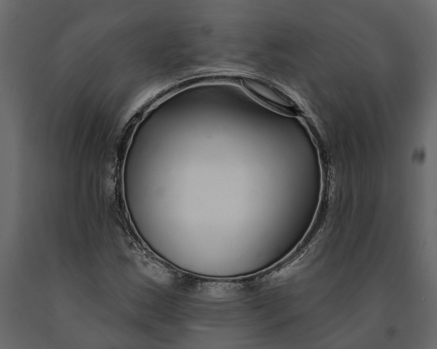 X0000091091163200708271250