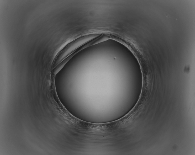 X0000091091165200708271250