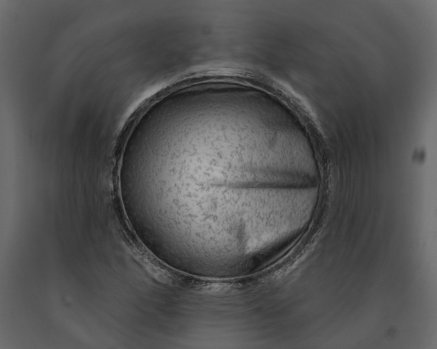 X0000091091166200708271250