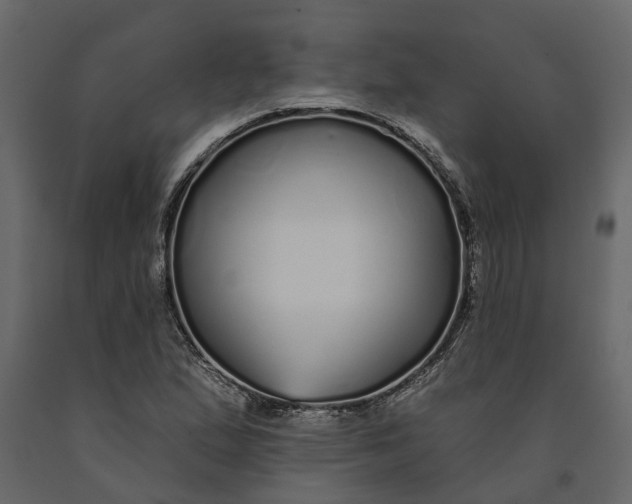 X0000091091167200708271250