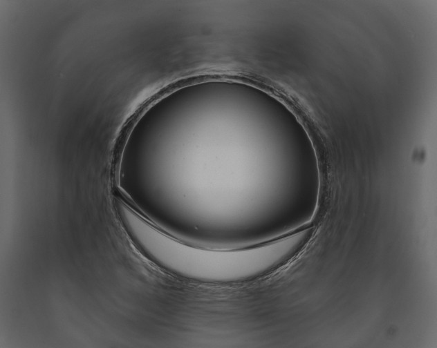 X0000091091168200708271250