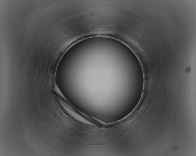 X0000091091169200708271250