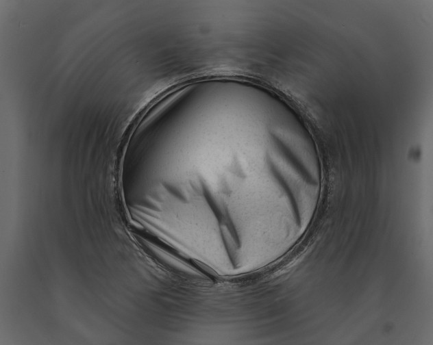 X0000091091170200708271250