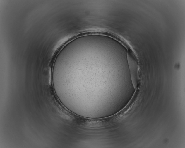 X0000091091171200708271250