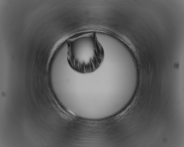 X0000091091172200708271250