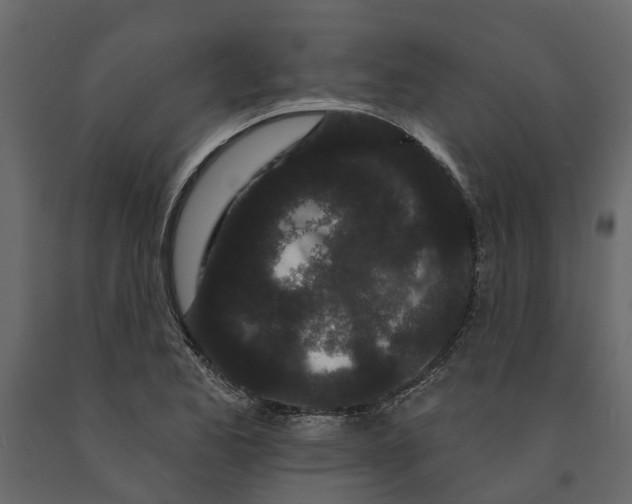 X0000091091173200708271250