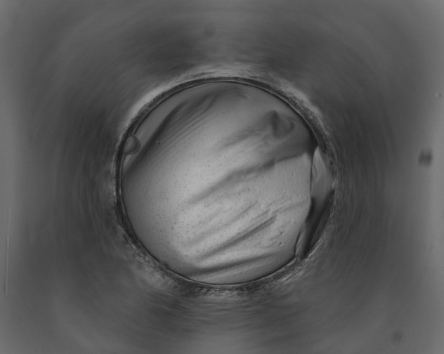 X0000091091174200708271250