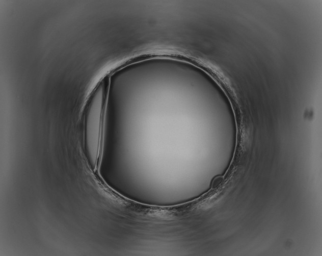 X0000091091175200708271250