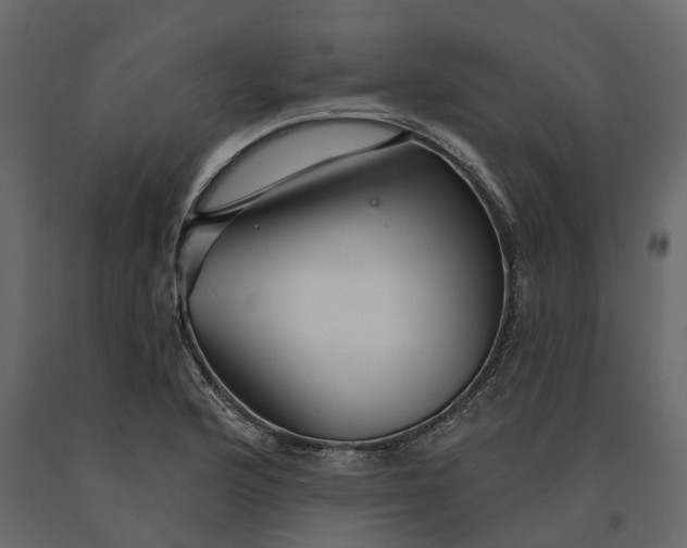 X0000091091176200708271250