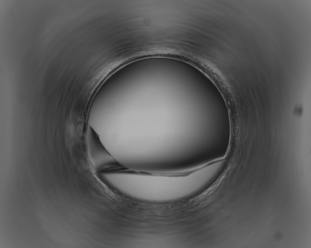 X0000091091177200708271250