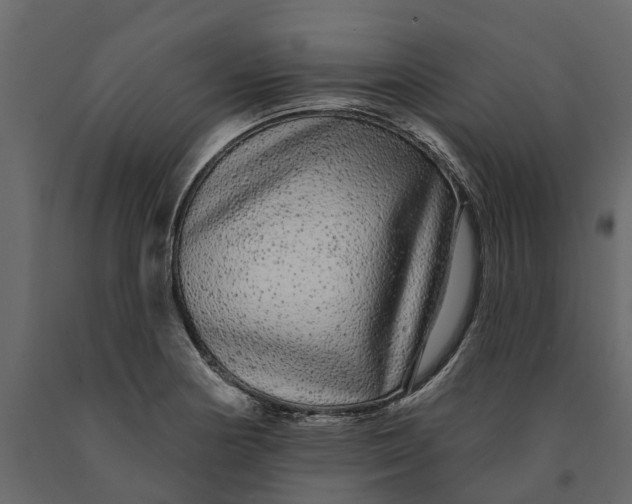 X0000091091178200708271250