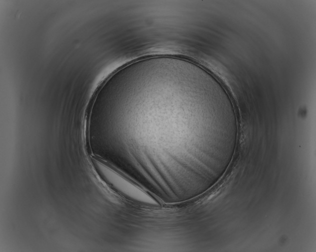 X0000091091179200708271250