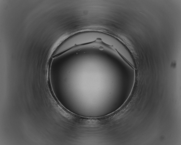 X0000091091180200708271250