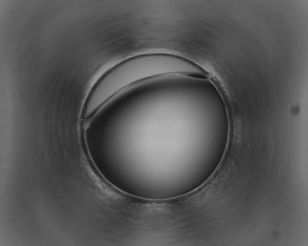 X0000091091181200708271250