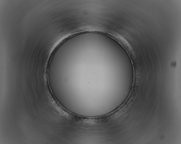 X0000091091182200708271250