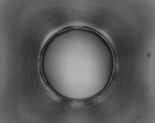 X0000091091183200708271250