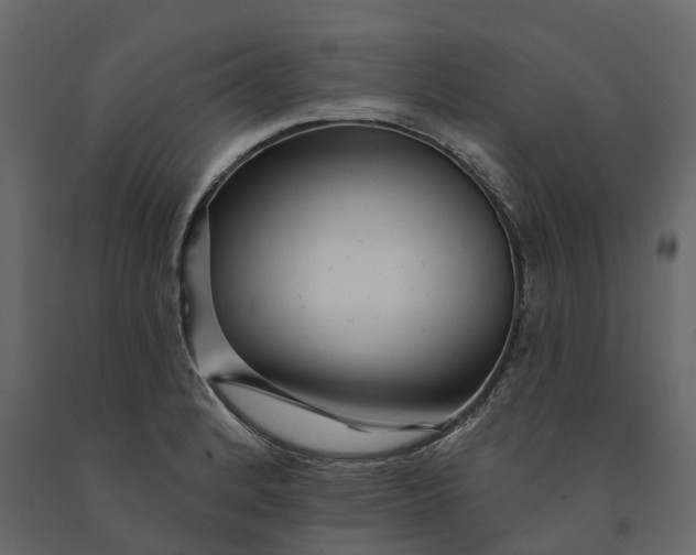 X0000091091184200708271250