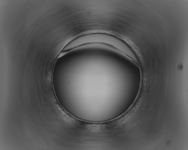 X0000091091185200708271250