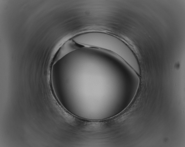 X0000091091188200708271249