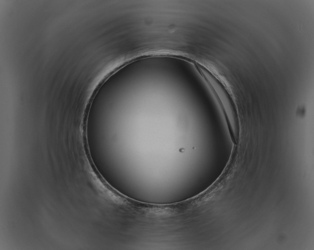 X0000091091189200708271249