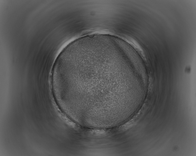 X0000091091190200708271249