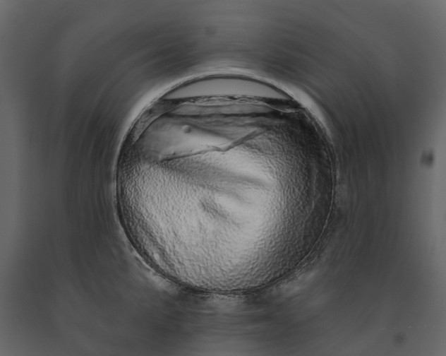 X0000091091191200708271249