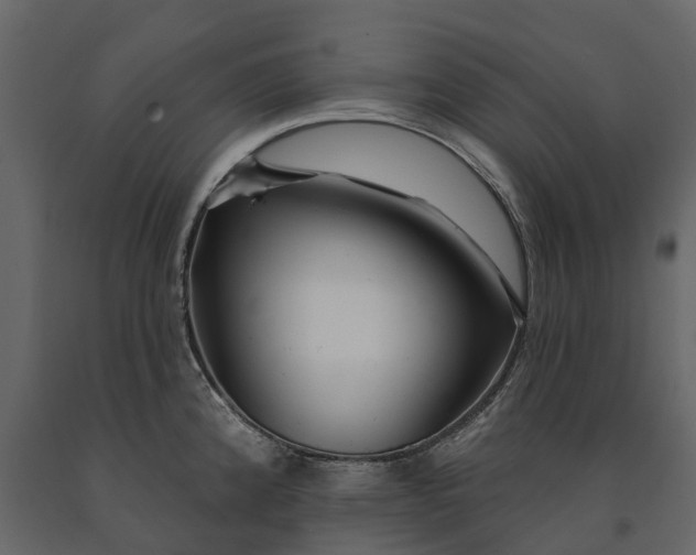 X0000091091192200708271249