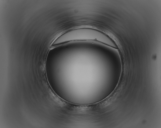 X0000091091193200708271249