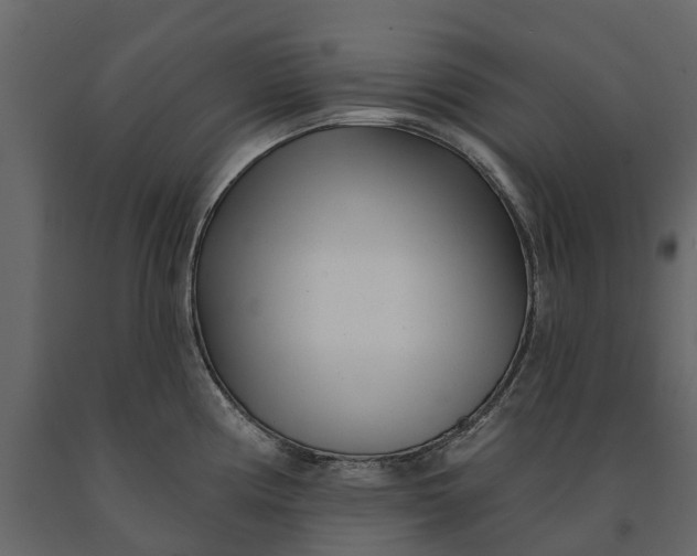 X0000091091194200708271249