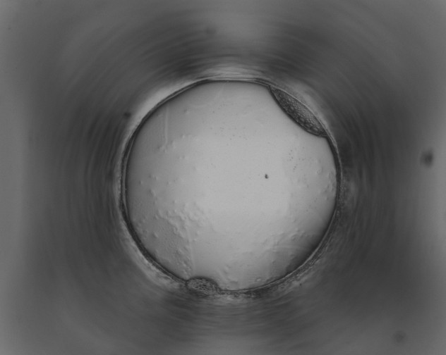 X0000091091195200708271249