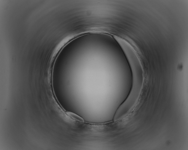 X0000091091196200708271249