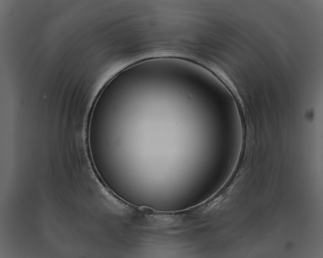 X0000091091197200708271249